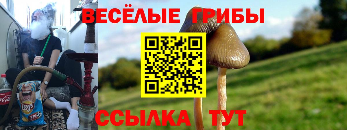Галлюциногенные грибы GOLDEN TEACHER Тара
